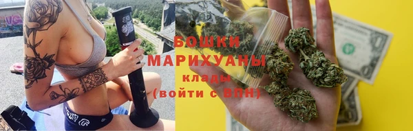 прущая мука Арсеньев