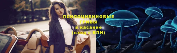метадон Армянск