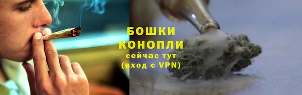 прущая мука Арсеньев