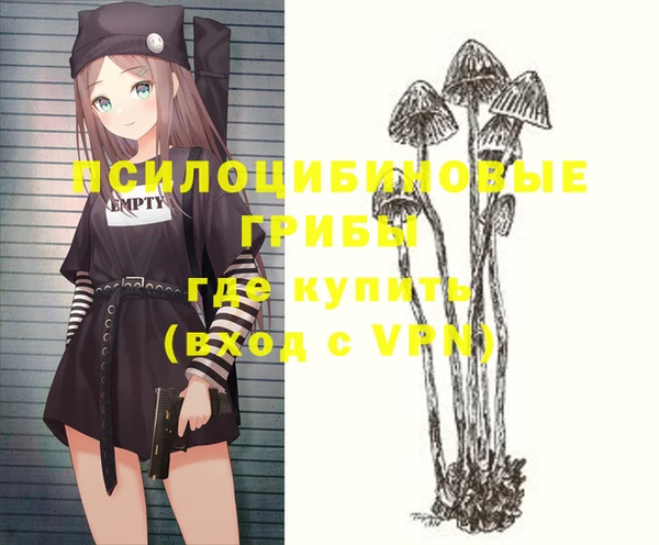 прущая мука Арсеньев